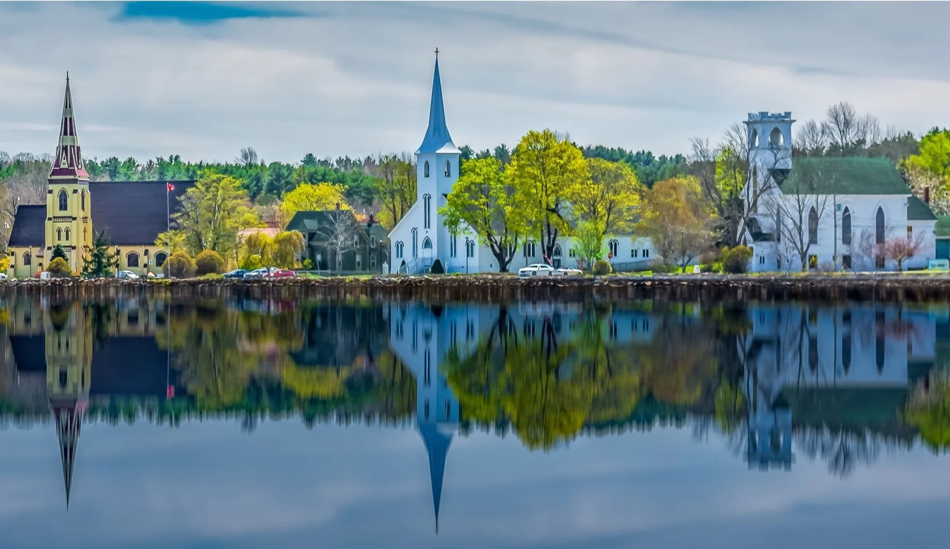 OLD - Living Shoreline Planting Day