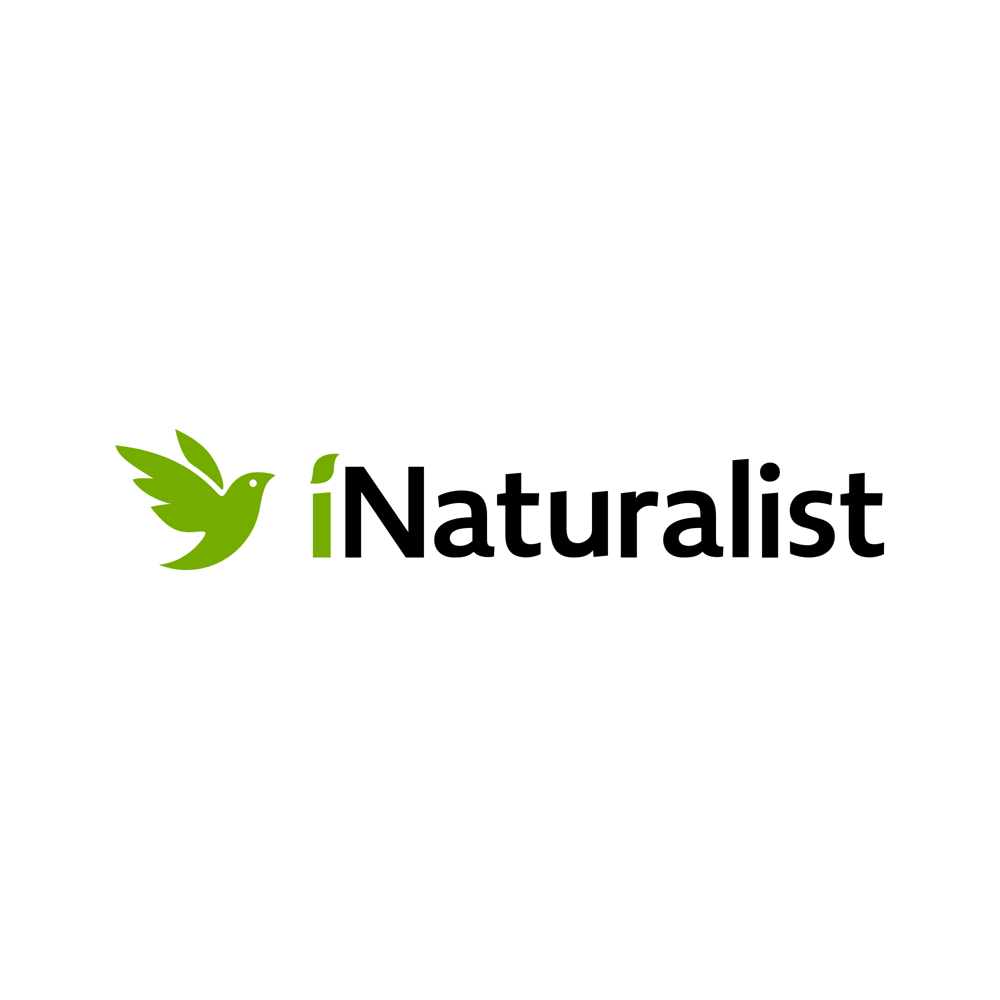 Help us study the Living Shoreline using iNaturalist!