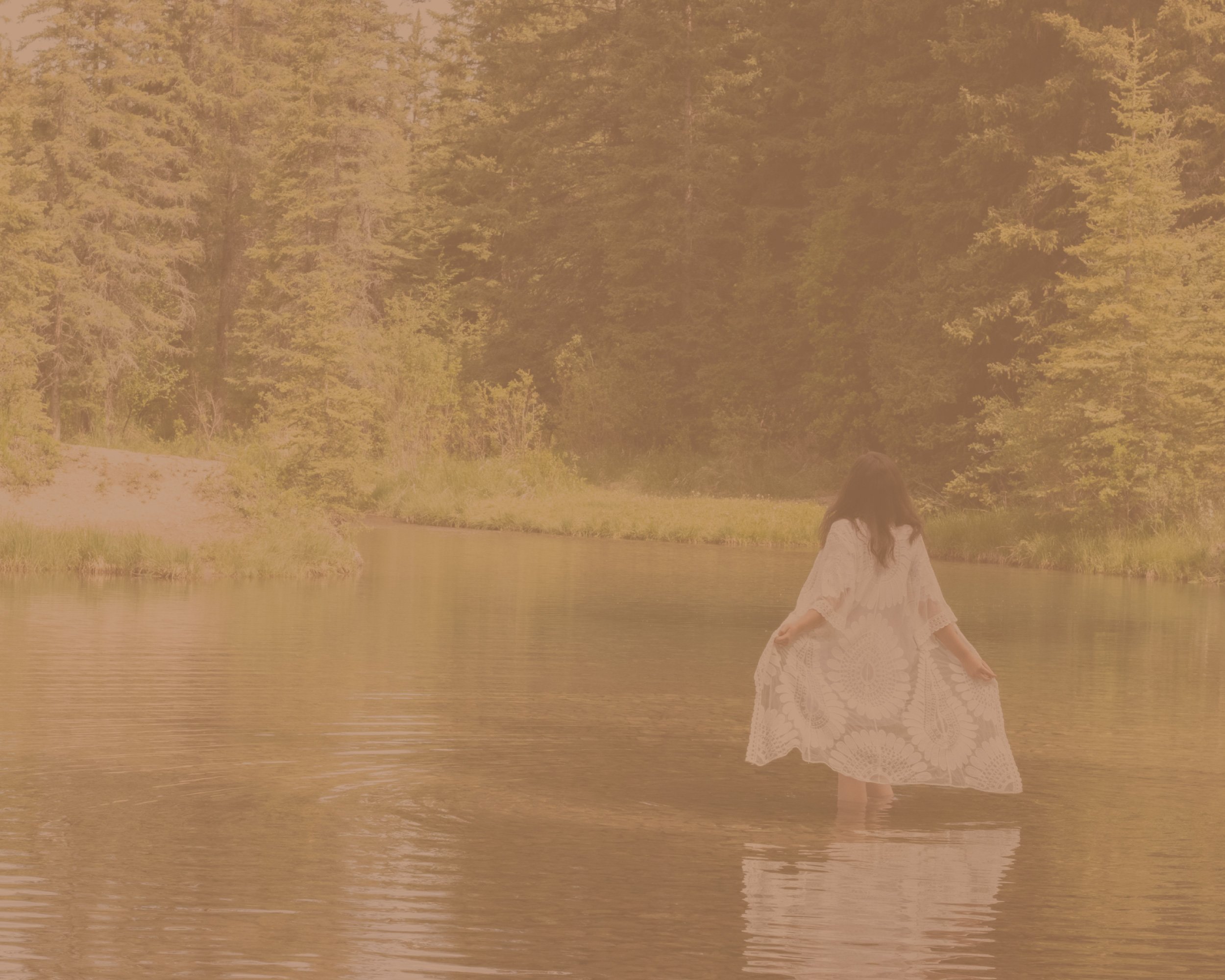 about-header2.jpg