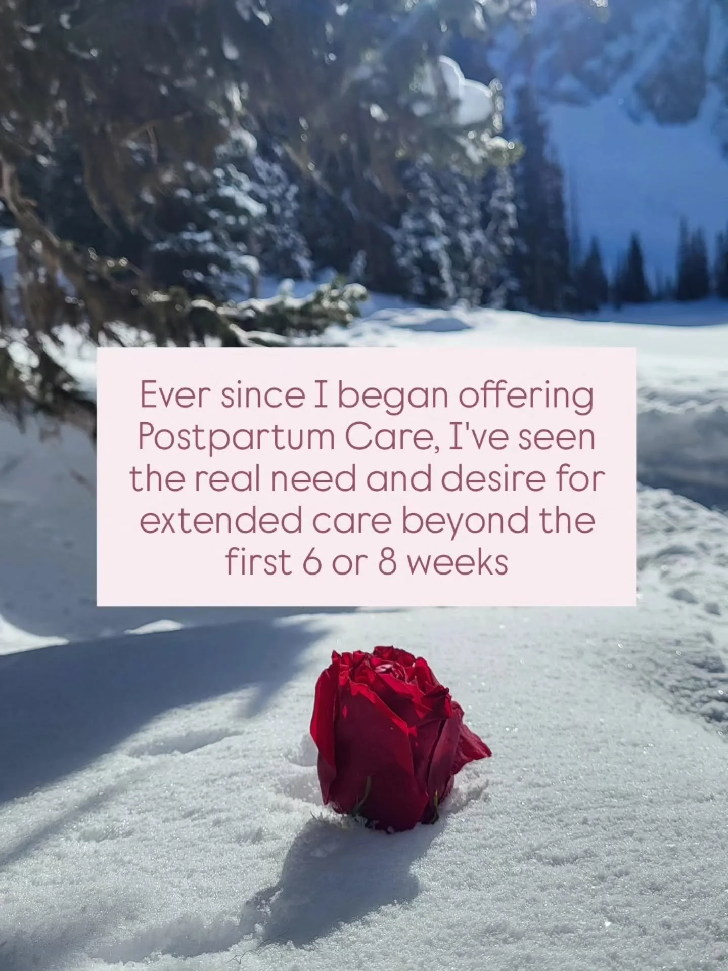 Over the last few months, I've heard from multiple clients that if I had options for extended care beyond the first 6-8 weeks postpartum, they would have chosen those options.

Many will choose 6 weeks, thinking that will be enough, but when that tim