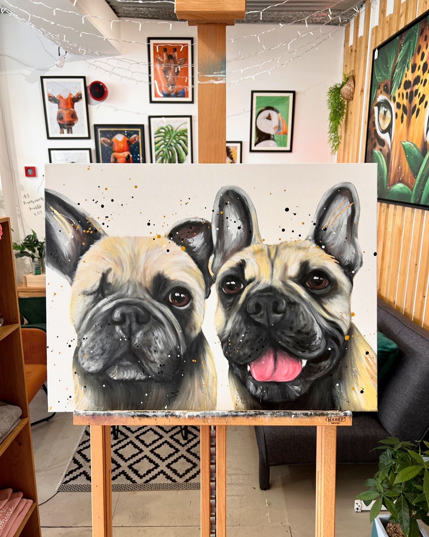 These Frenchies have made their way to Ireland 🇮🇪 

A Frenchie might be on the cards as No. 6 in my new series 🙊 keep your eyes peeled!
