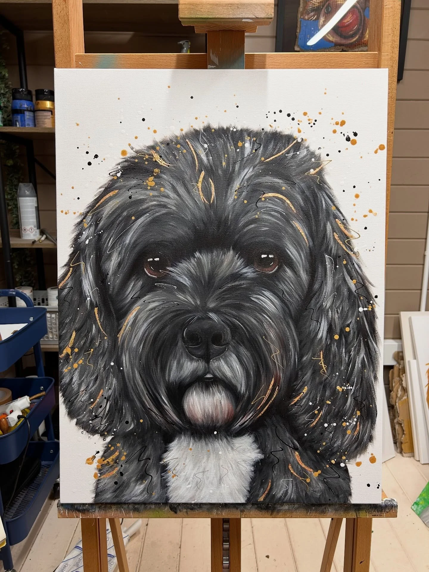 Still getting through showing you guys pre Christmas pawtraits 🐶