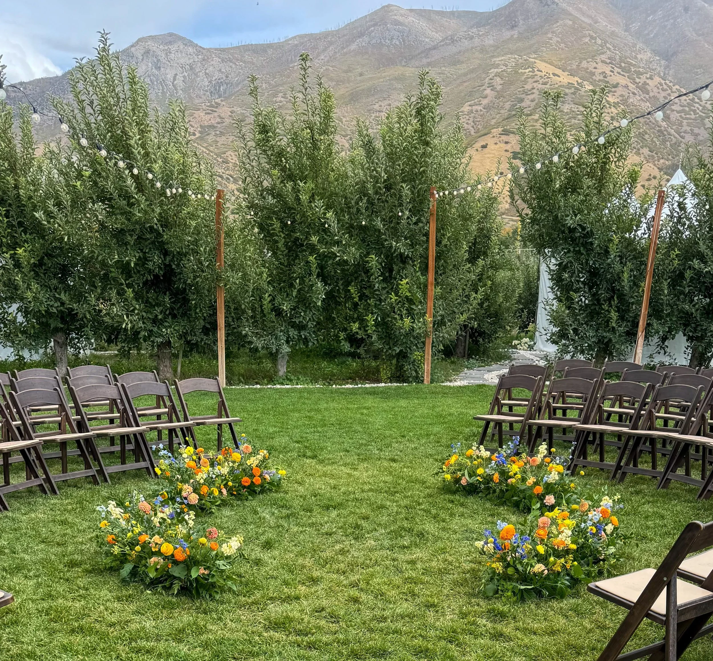 Mountain Chic-Full Meadow