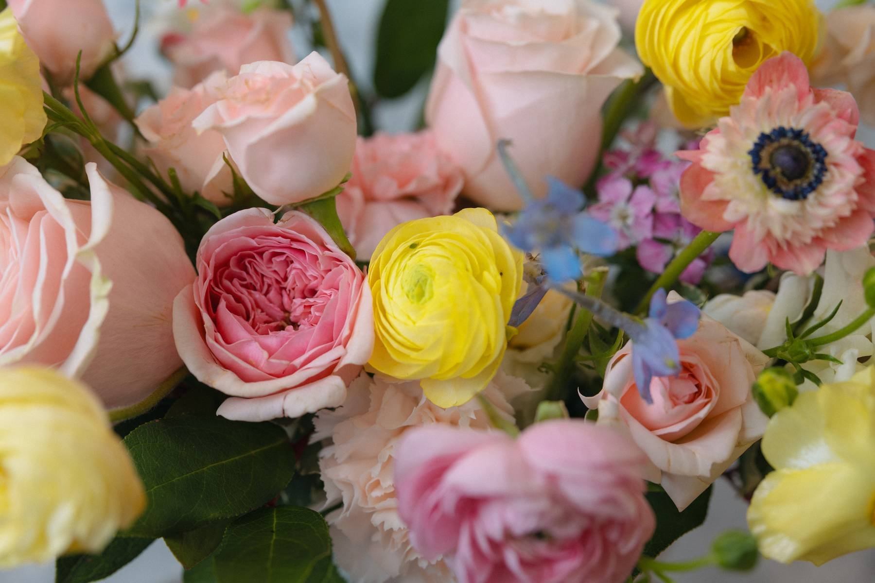 VV - Stay in bloom mother's day-70.jpg