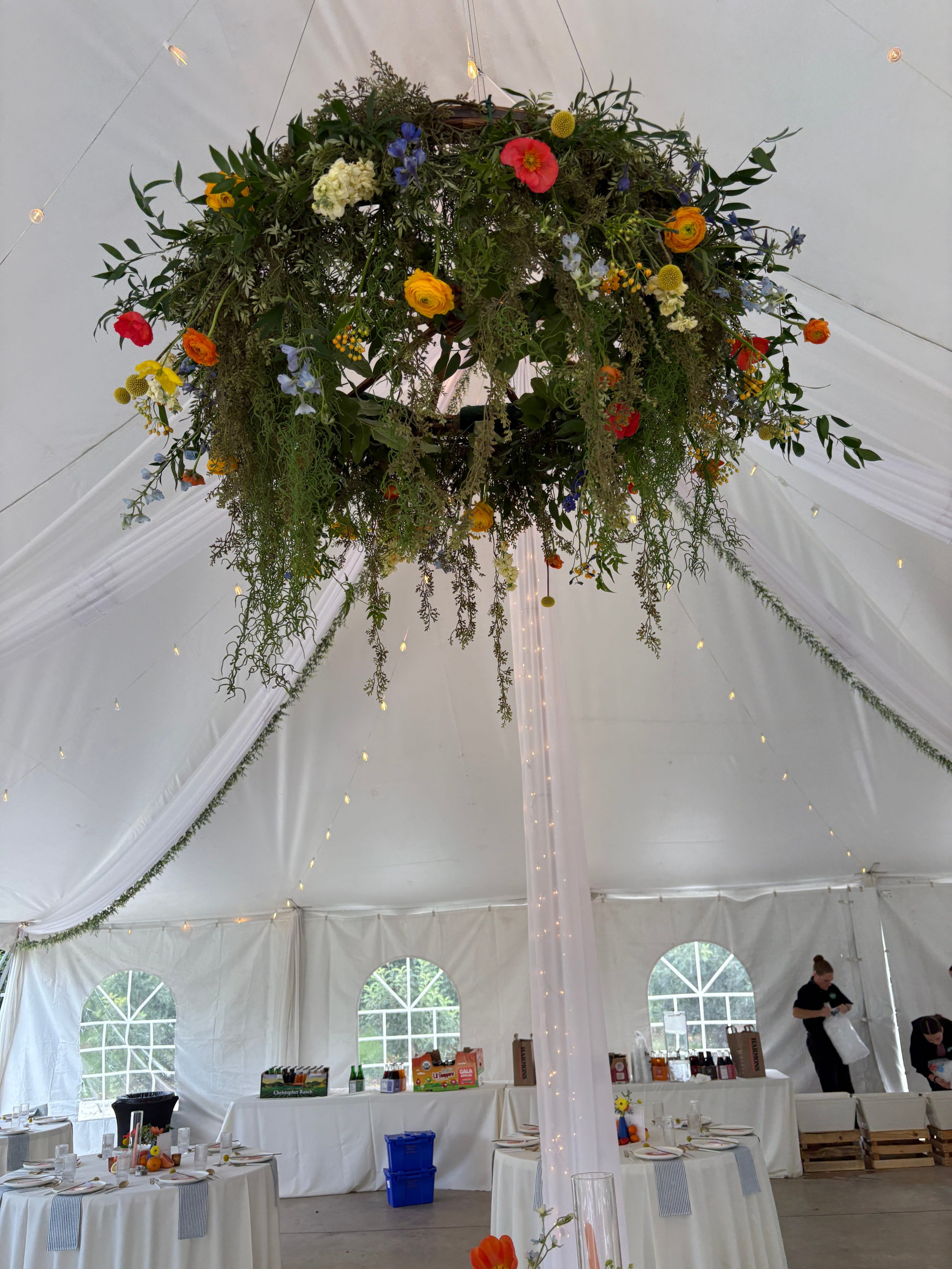 Mountain Chic- Chandelier 