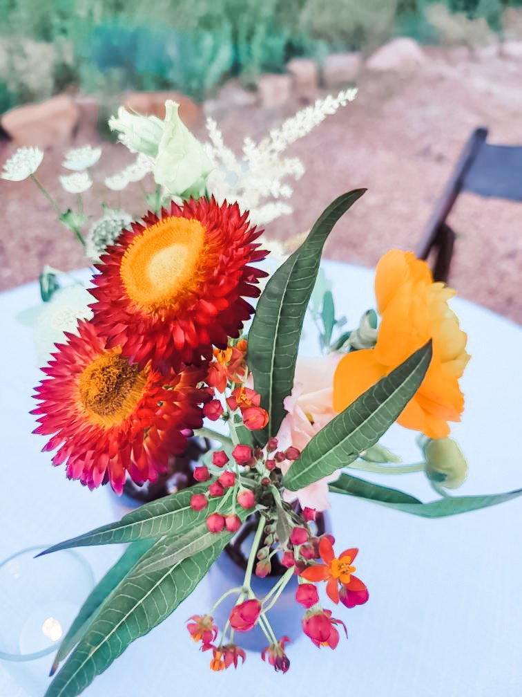 Hi Boy Centerpiece Best Friends Animal Society Event