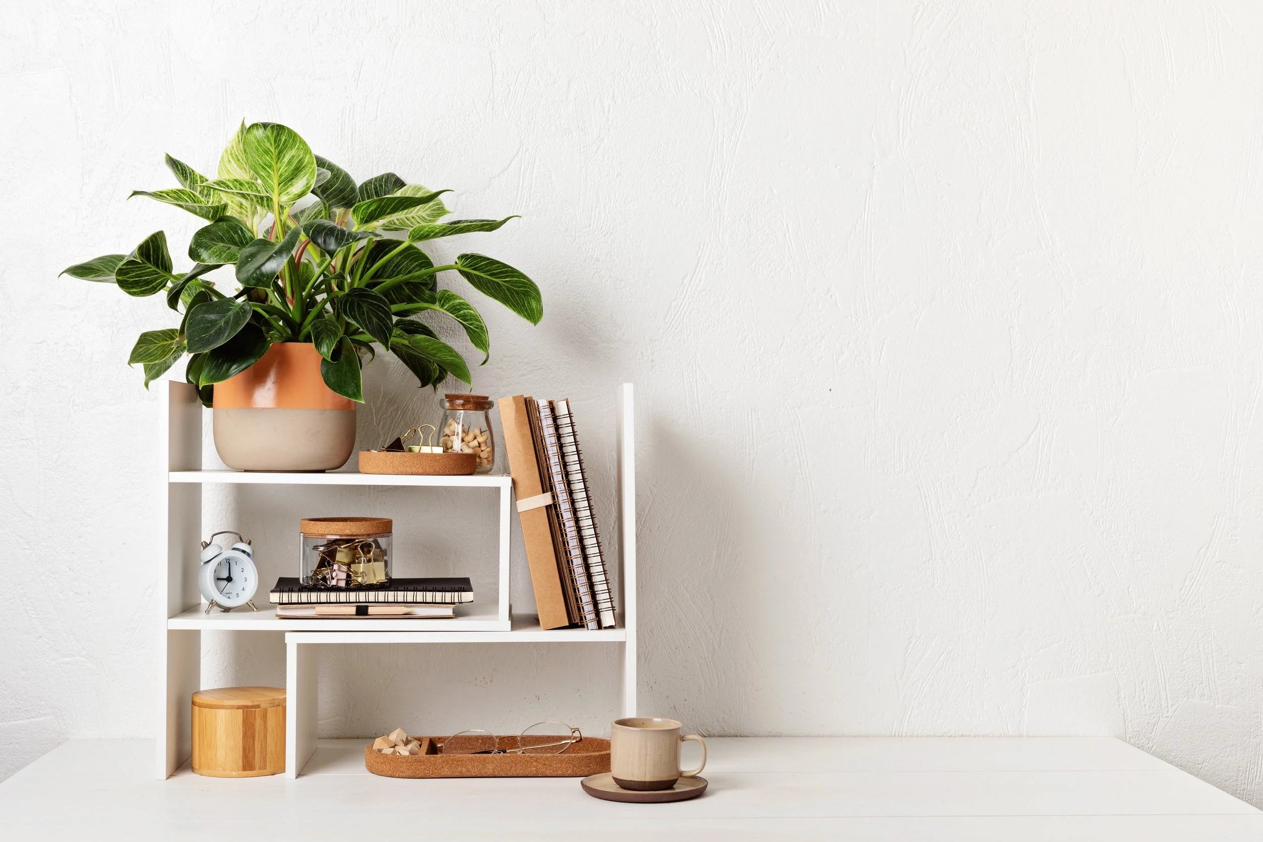  Promo for the New Year