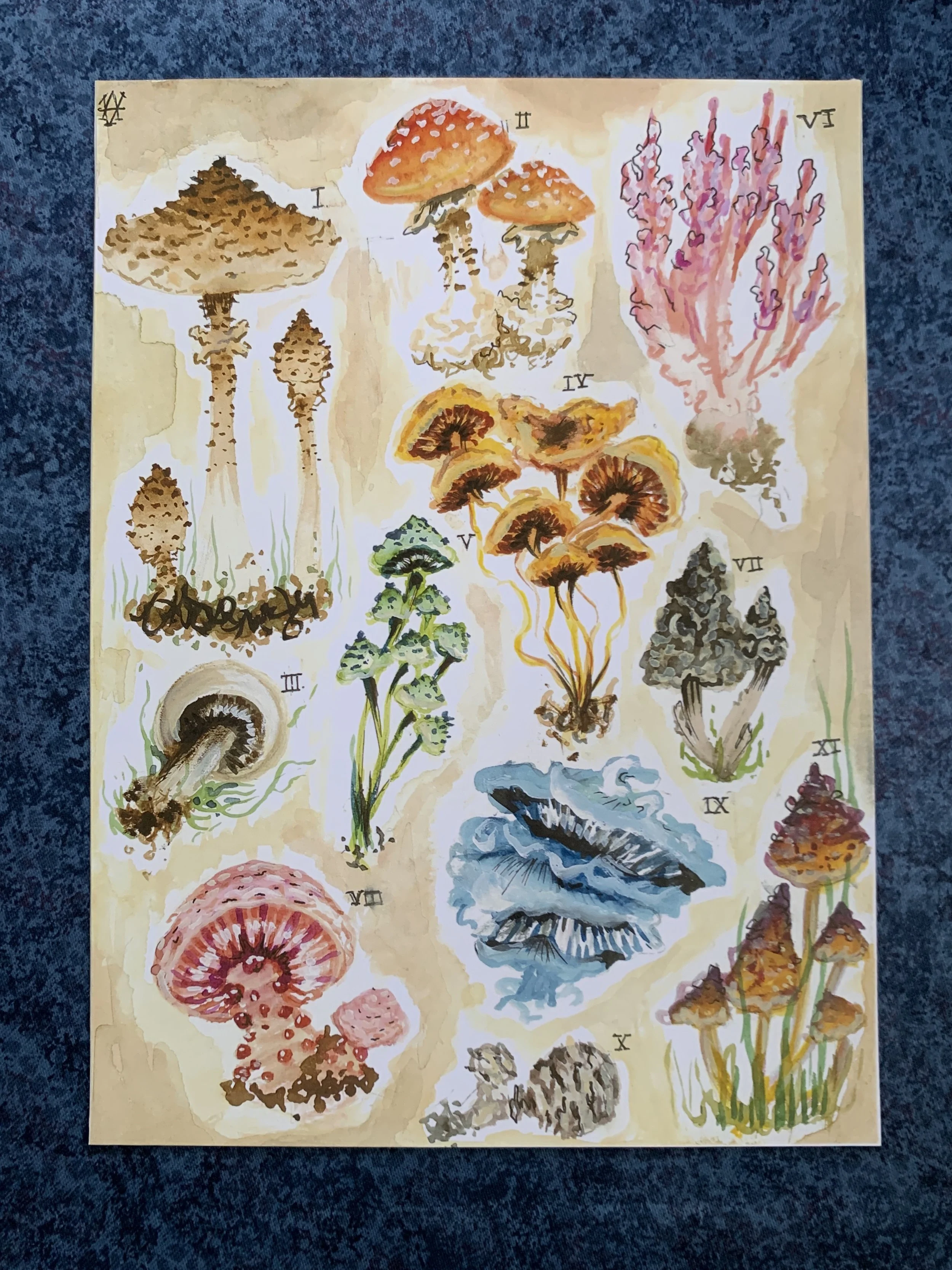 Fungi (2020).jpeg