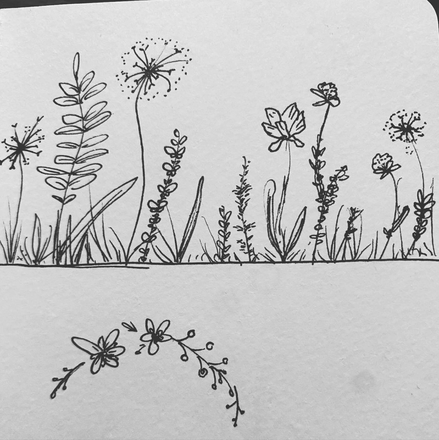 Groovy Garden 

#garden #gardendoodle #flowerdoodle #flowerwreath #gardensketch #flowersketch #flowersketches #flowers #inkdoodle #inkflower #inkflowers #blackandwhiteflowers #penandink #penandinkart #penandinksketch #penandinkdoodle #floraldoodle #f