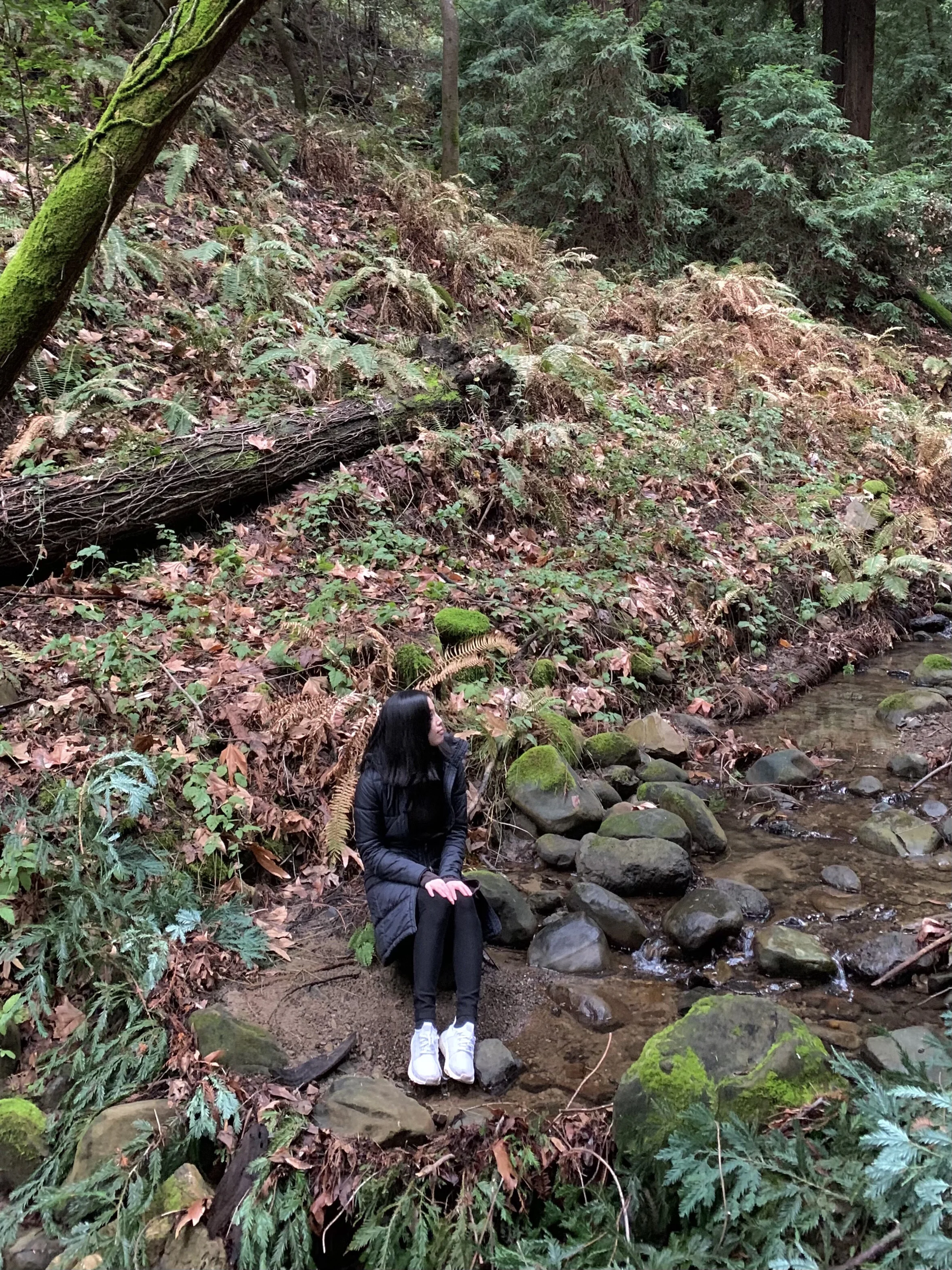 LGBTQ Spirituality Asian Non-Binary Therapist Psychologist Elsa Lau
