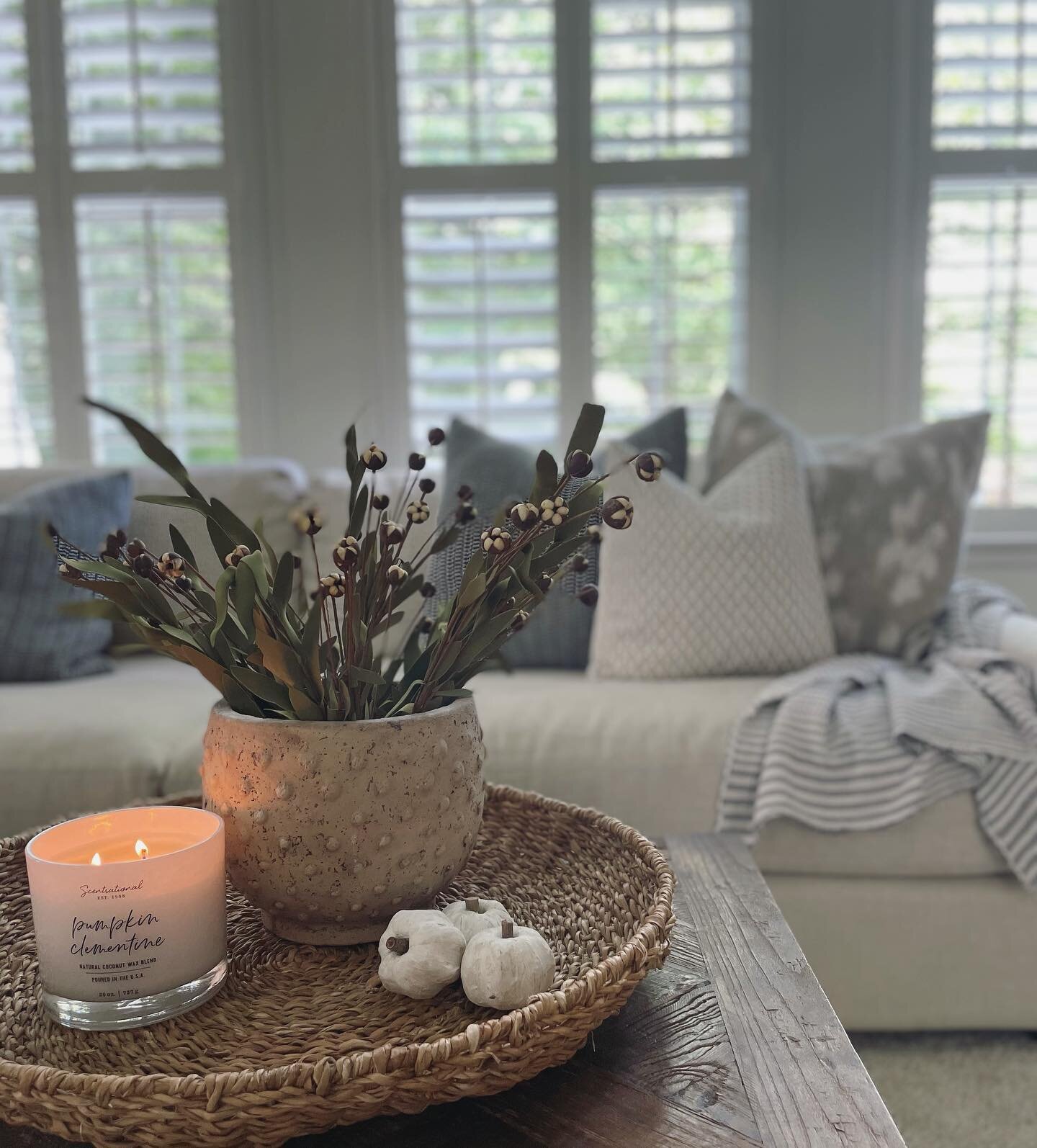 Sad to see summer come to an end&hellip;.but not too sad 😏 

I love sprinkling in some neutral fall decor and layering with nubby textures to add a moody vibe for a cozy transition into fall. 

Thank @wild_iris_home for my new fall decor additions ?