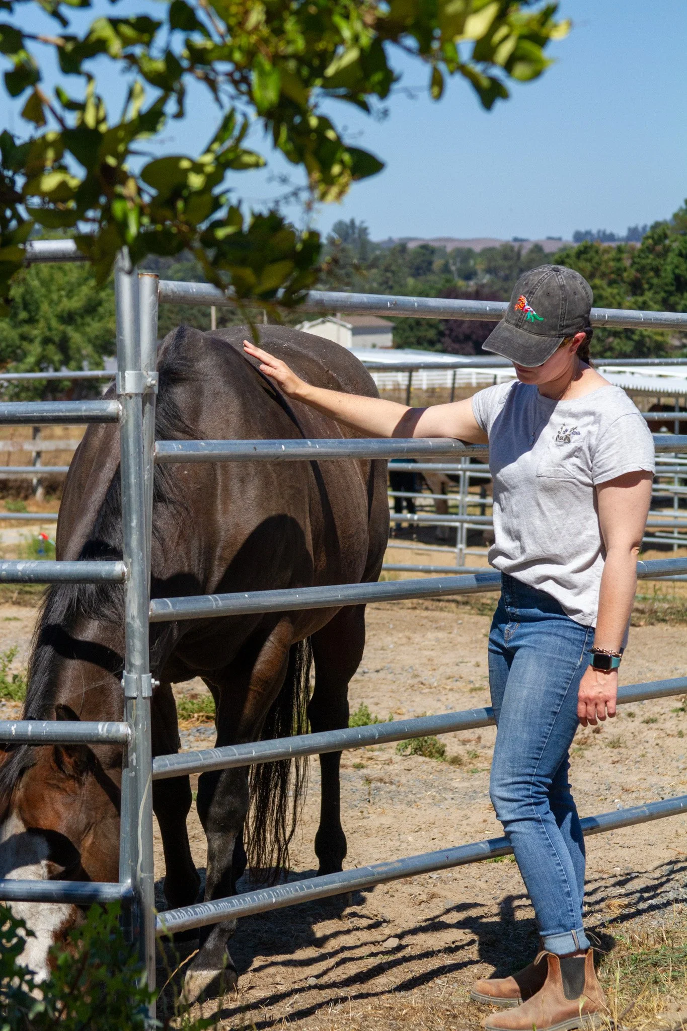 woman standing outside turn out reaching through and petting a horse inside