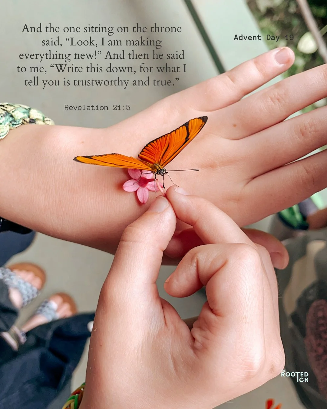 advent day 19 | Christ has always been in the business of making things new. I can trust that He won't stop now. 

🌱 Praise be to God.