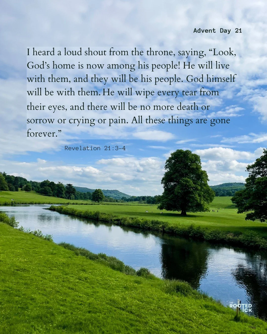 advent day 21 | Hallelujah! This is how it was always meant to be. What a gift it is to have this kind of hope for the future.

🌱 Praise be to God.