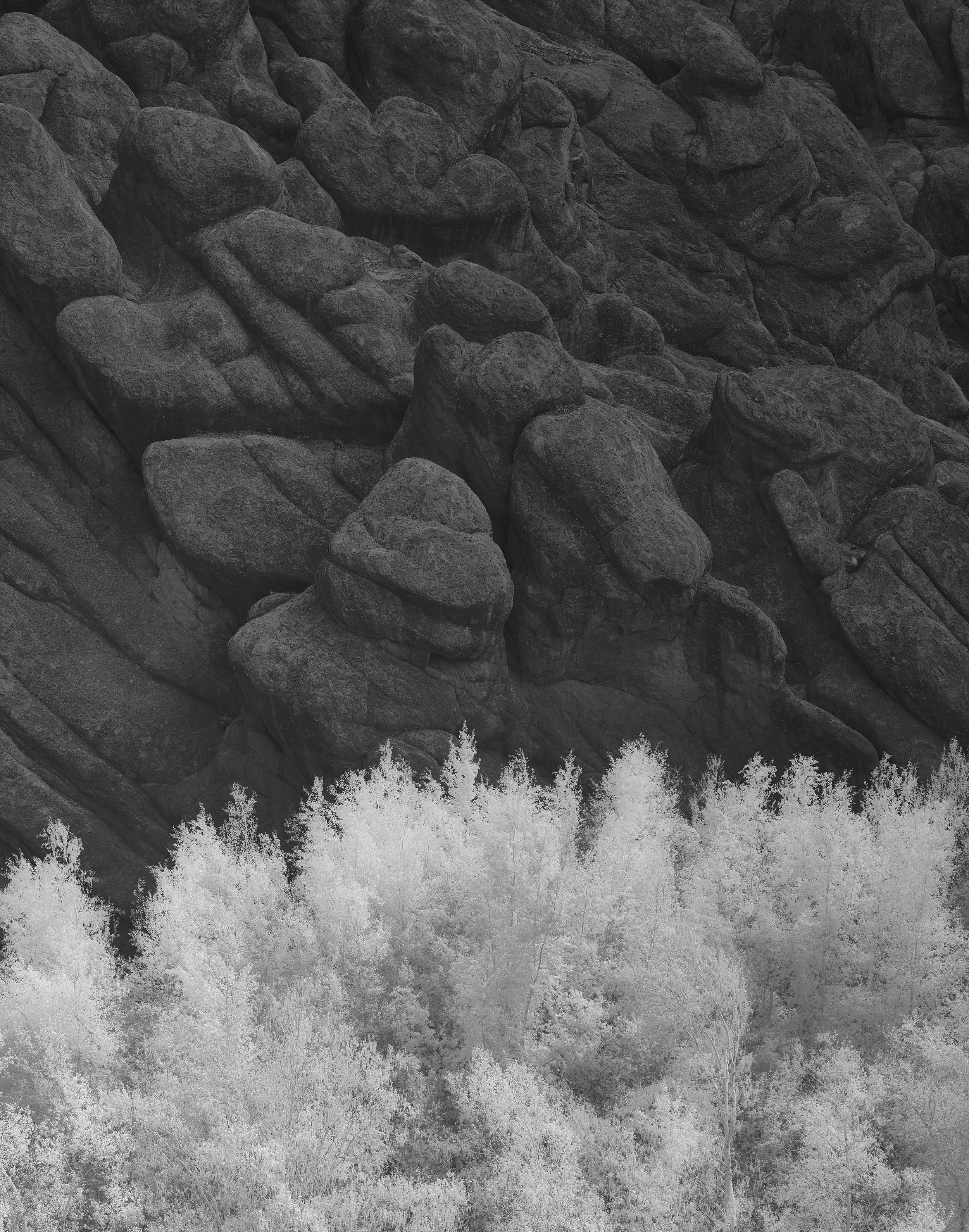 Leif Steiner platinum palladium photography