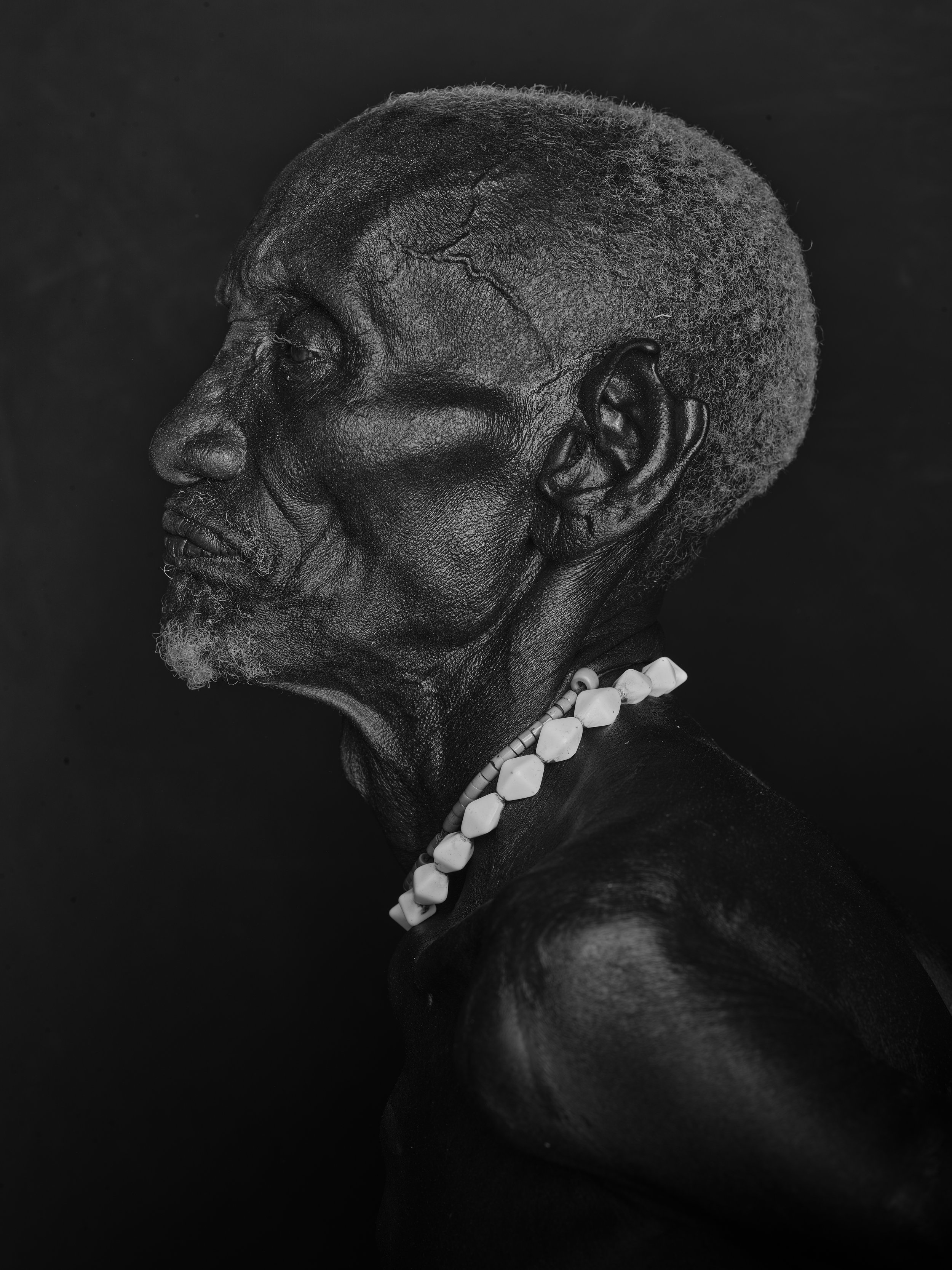 Leif Steiner platinum palladium photography