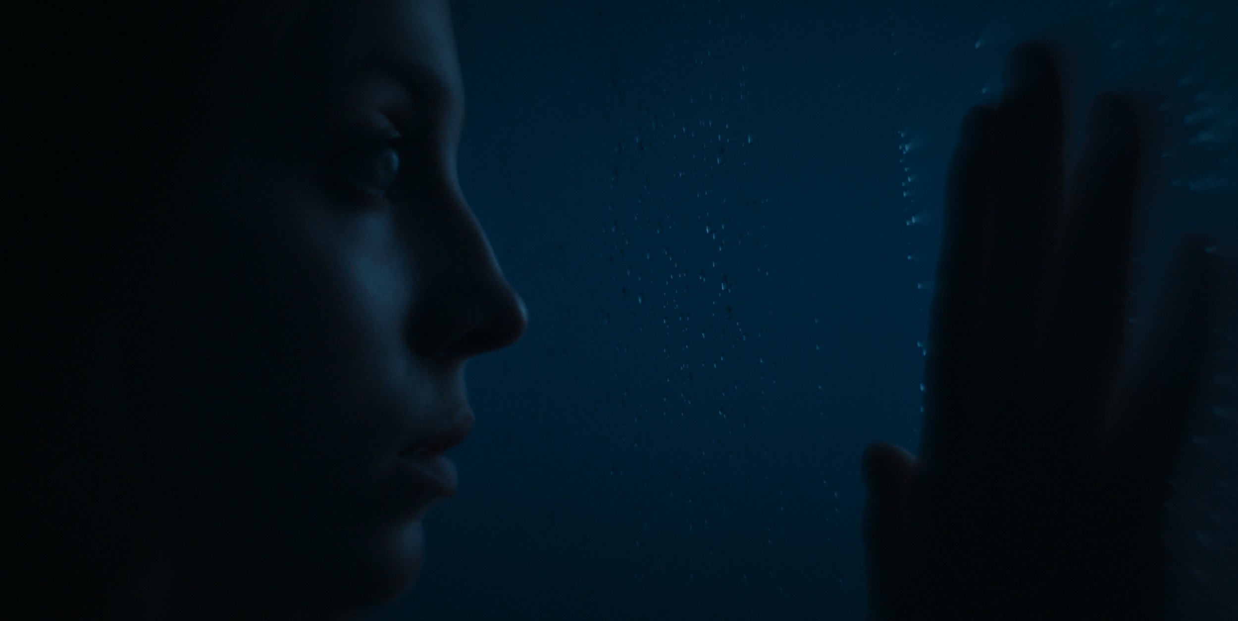 Copy of WAYMM_Stills_1.1.21.jpeg