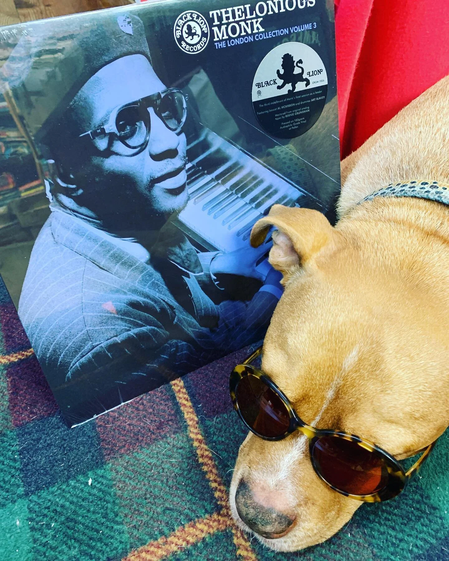 Newtown Book & Record Exchange