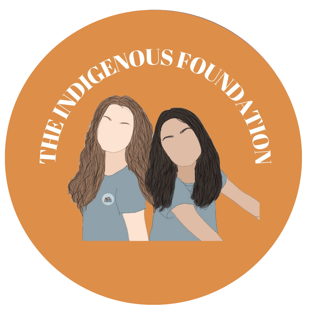 The Indigenous Foundation