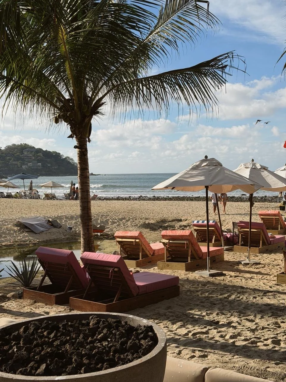 16680758-126f-4198-8e98-58e51d2050f5 2.JPG