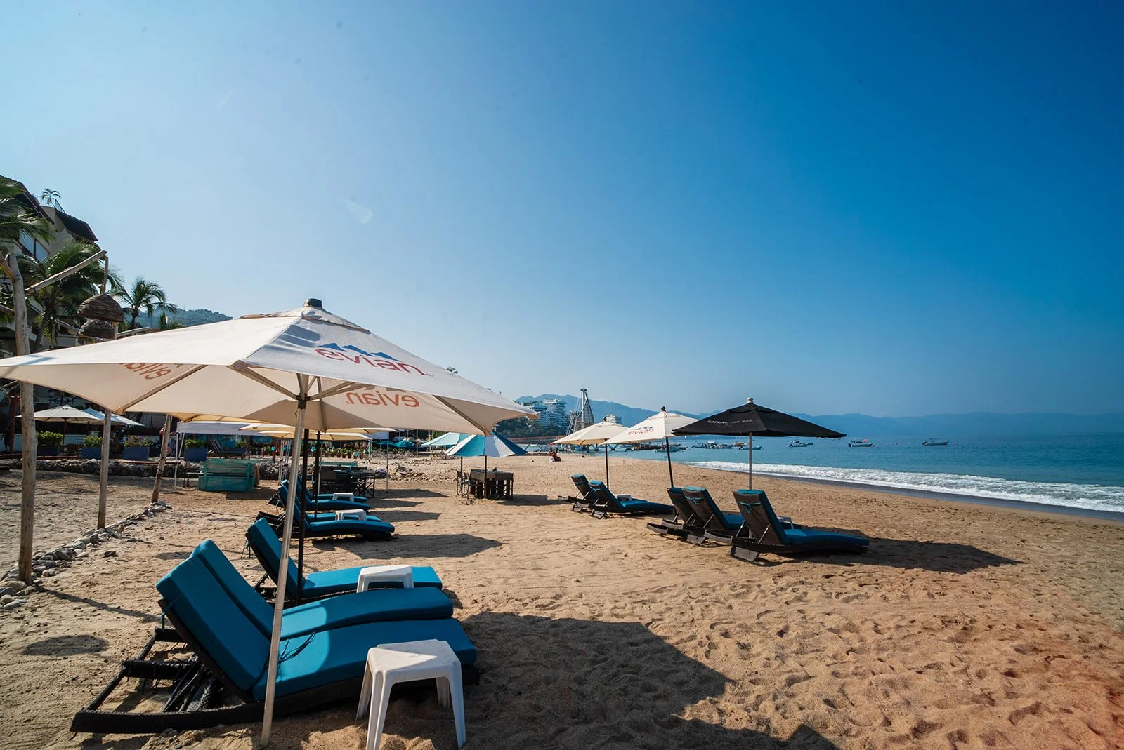 The Blue Shrimp-045_websize.jpg