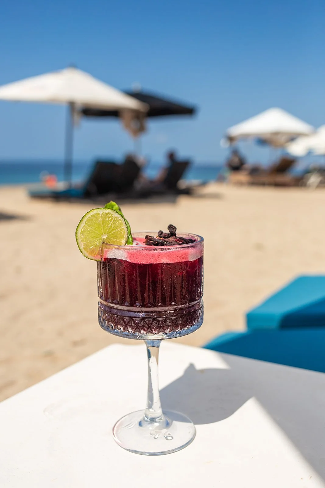 The Blue Shrimp-319_websize(1).jpg