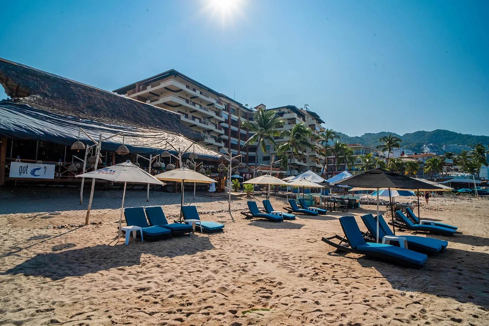 The Blue Shrimp-047_websize.jpg