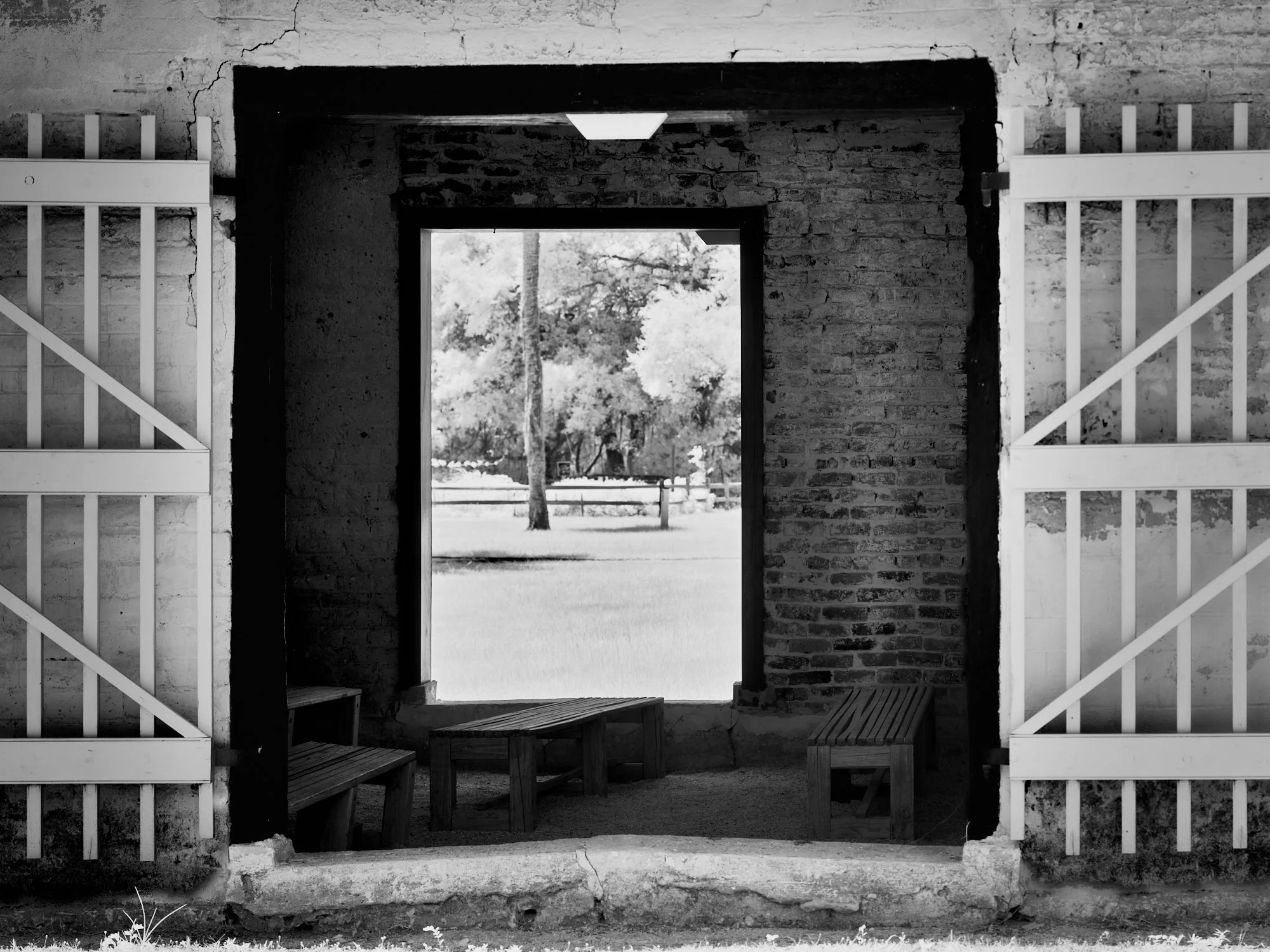 Infrared view through an open barn doorway to the sunlit field beyond, Kingsley Plantation, Florida. Phase One Achromatic