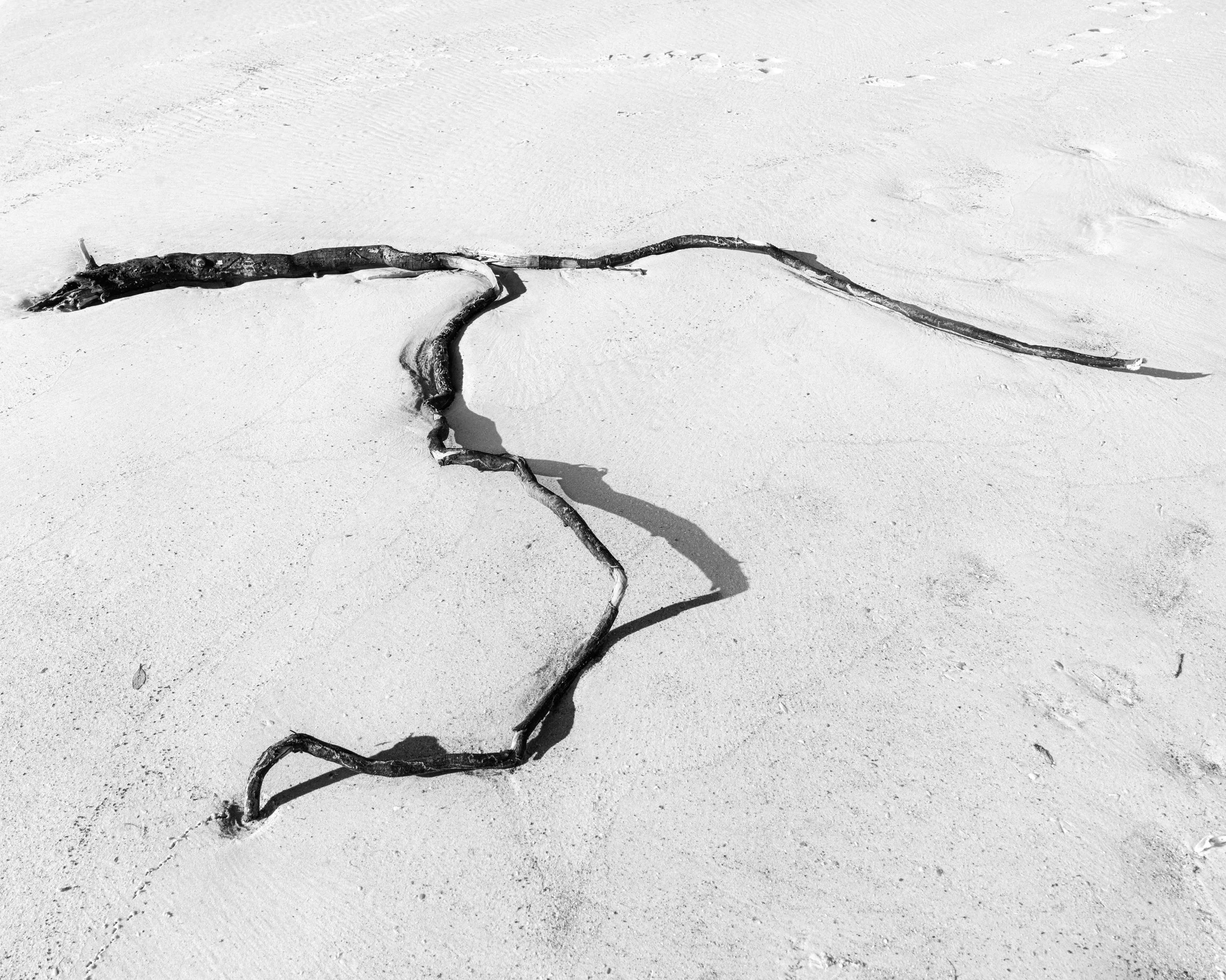 A large piece of driftwood lying on the sand at the beach, casting a shadow. Matanzas Inlet Beach