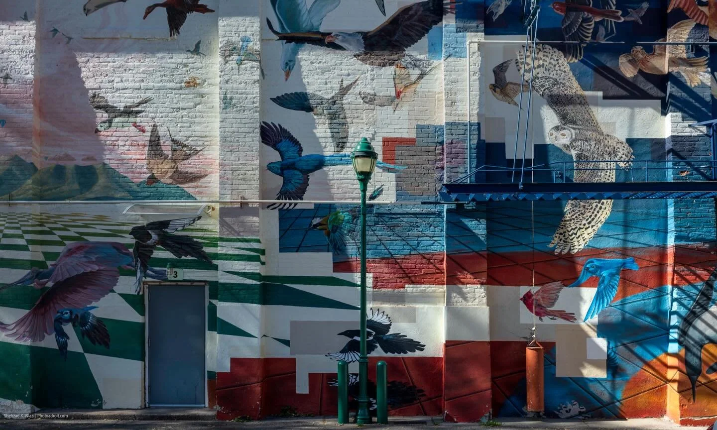 Joie de vivre: I find murals irristable. Frequently they are a challenge to photograph&mdash;often tall and wide in natrow alleys or with distracing objects, such as vehicles, trash cans infront of them. These objects of art brighten the scene and sp