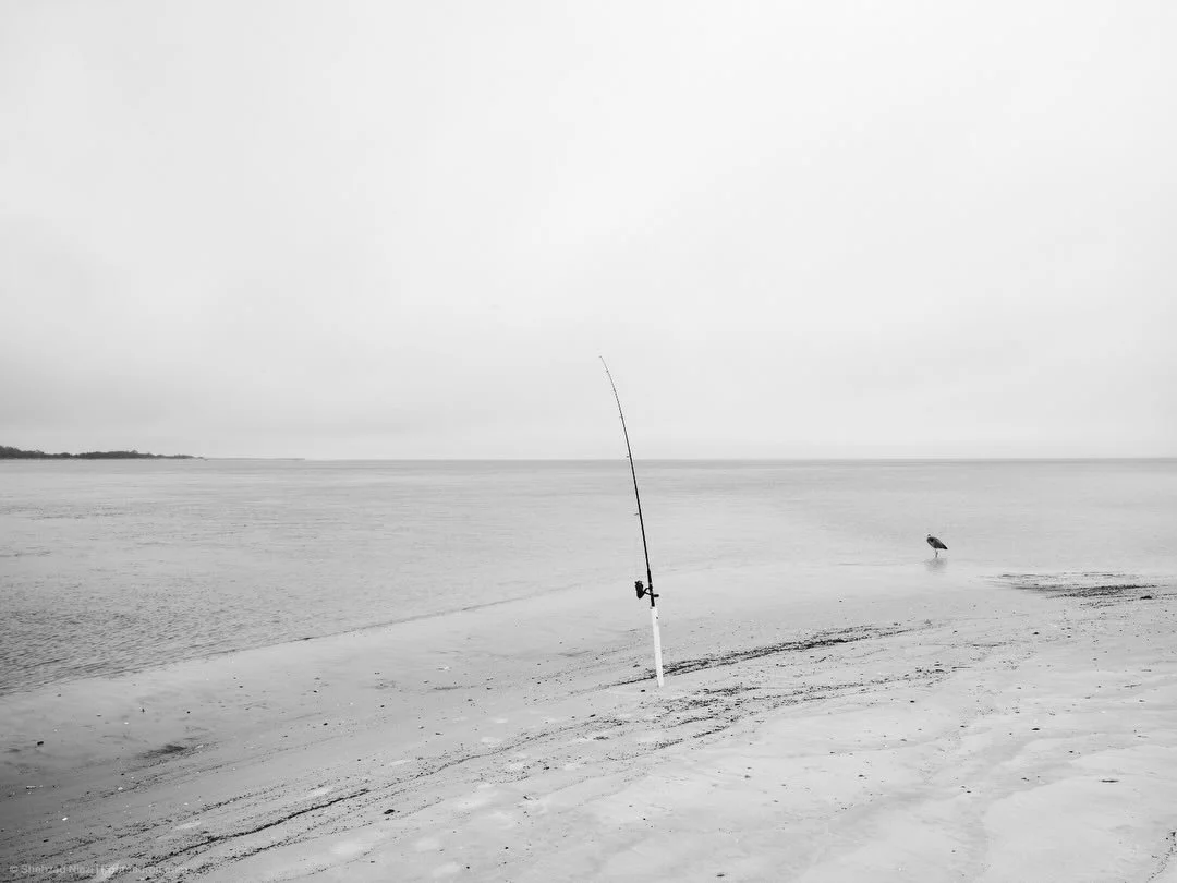 Solitude measured not in the absence of people but in the presence of space. 
Little Talbot Island, Florida.​​​​​​​​​​​​​​​​
