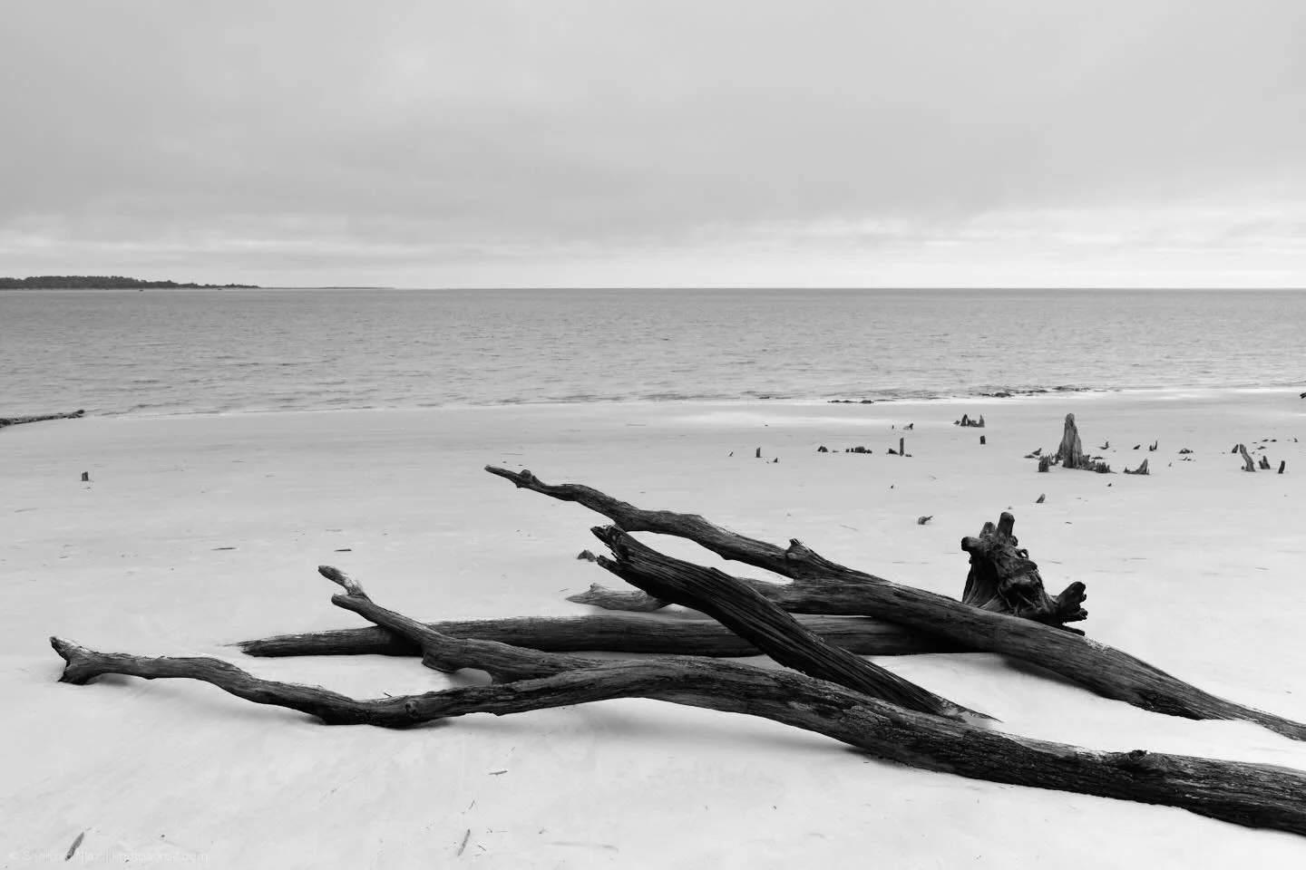 Where the forest fell. Boneyard Beach, Little Talbot Island.
Phase One IQ3 100 Achromatic back, Cambo WRS 1600, Rodenstock 40mm HR Digaron