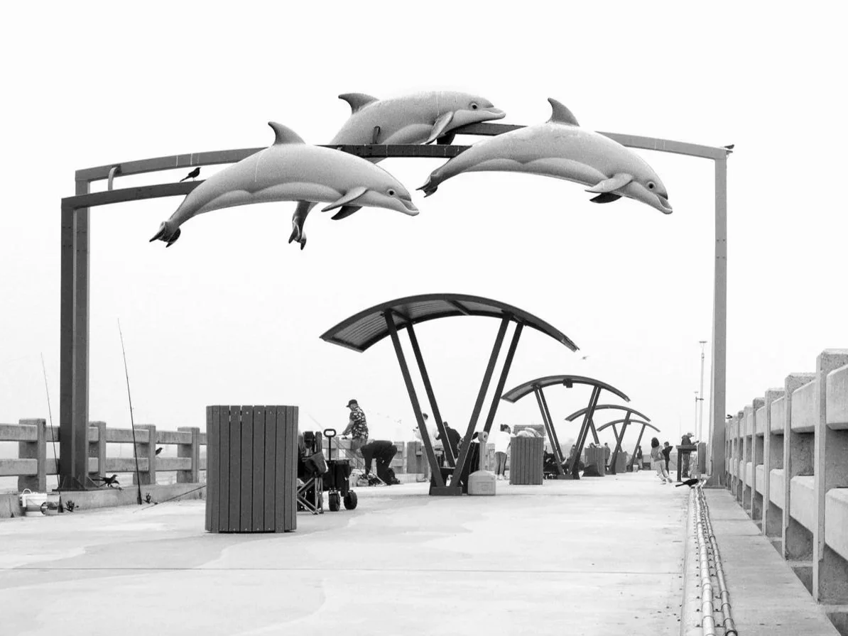 Remembering Memento Mori on a Misty Morning.