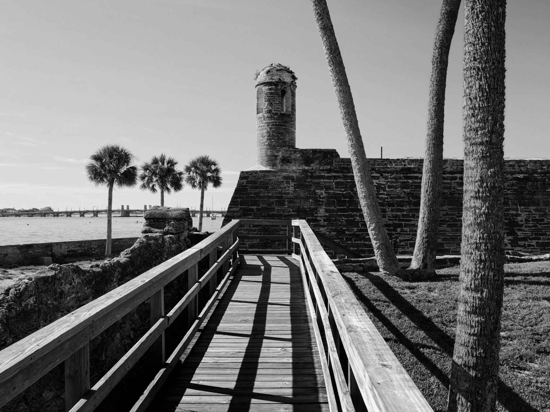 Mindful Morning photo-walk.