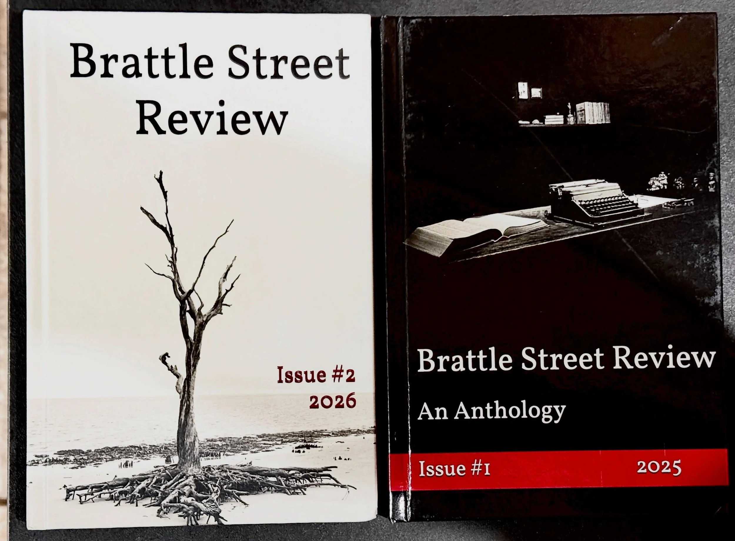 The second issue of the Brattle Street Review is now available, featuring outstanding stories, poignant poems, and my accompanying photographs &mdash; including the cover.
Find it on Amazon 
@brattlestreetreview