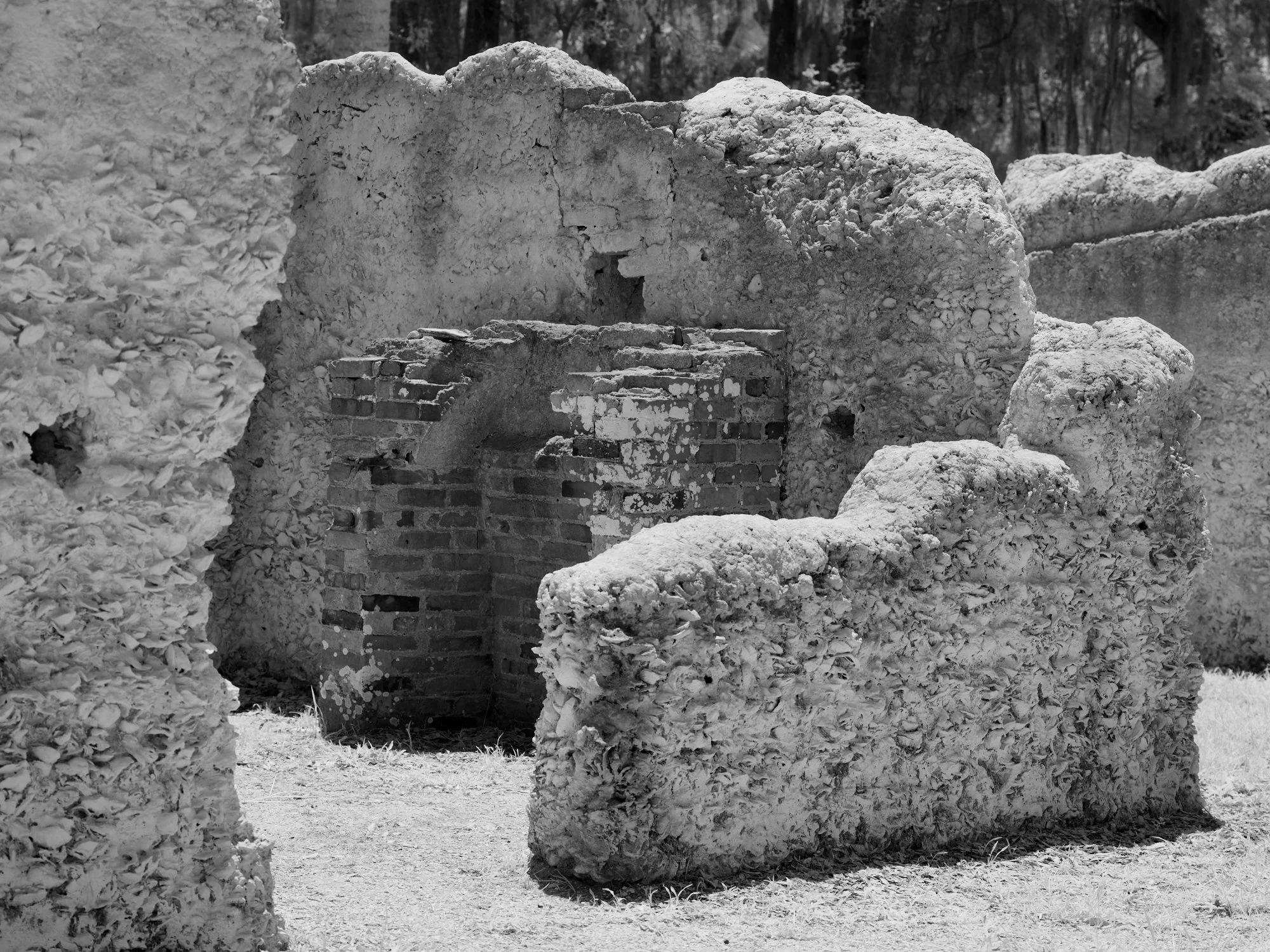 2026_07_25-Kingsley Plantation NP_Infrared_ 39.jpg