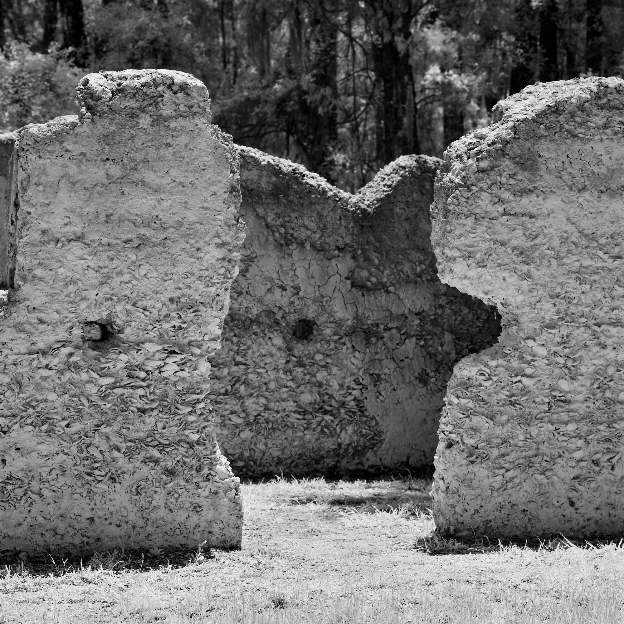 2026_07_25-Kingsley Plantation NP_Infrared_ 41.jpg