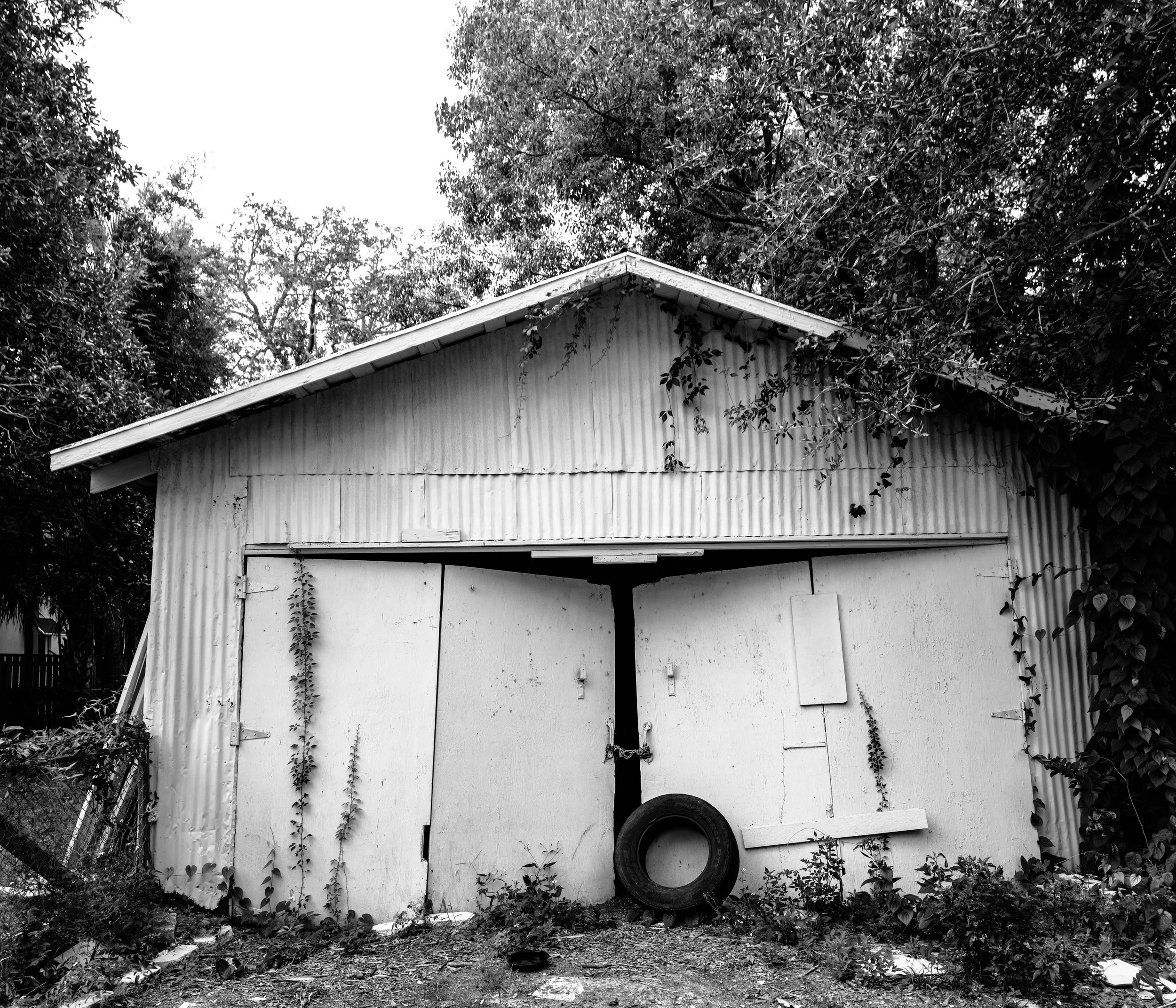 A black-and-white photo of an old, weathered shed with a metal roof, vines growing on its sides, and a tire leaning against it. The shed has a closed door and is surrounded by overgrown plants and trees. St Augustine Florida