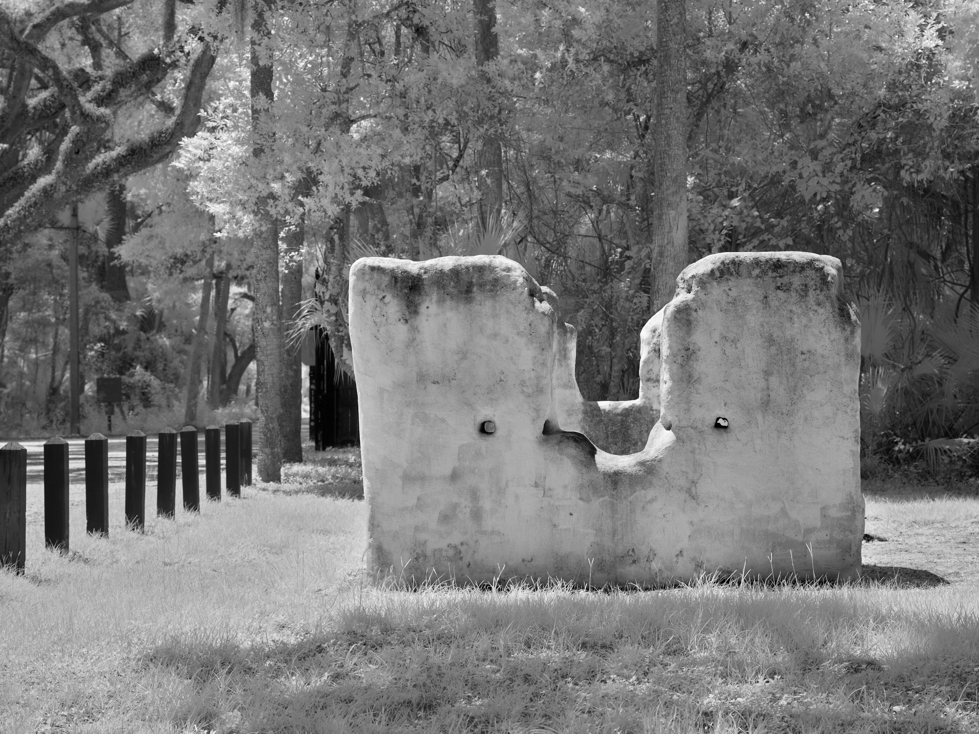 Infrared tabby slave cabin walls under dark tree canopy, Kingsley Plantation, Florida. Phase One Achromatic