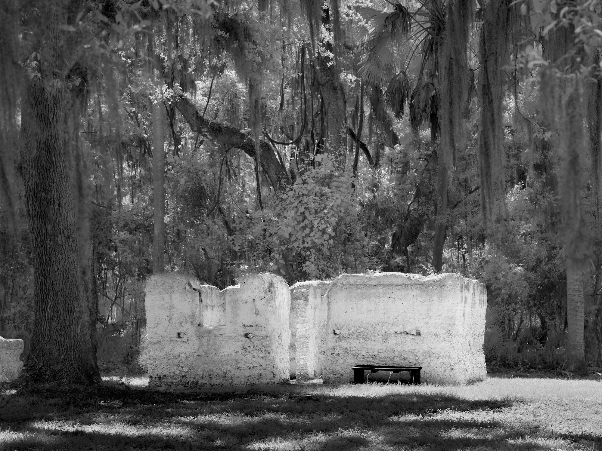 Infrared tabby slave cabin walls under dark tree canopy, Kingsley Plantation, Florida. Phase One Achromatic