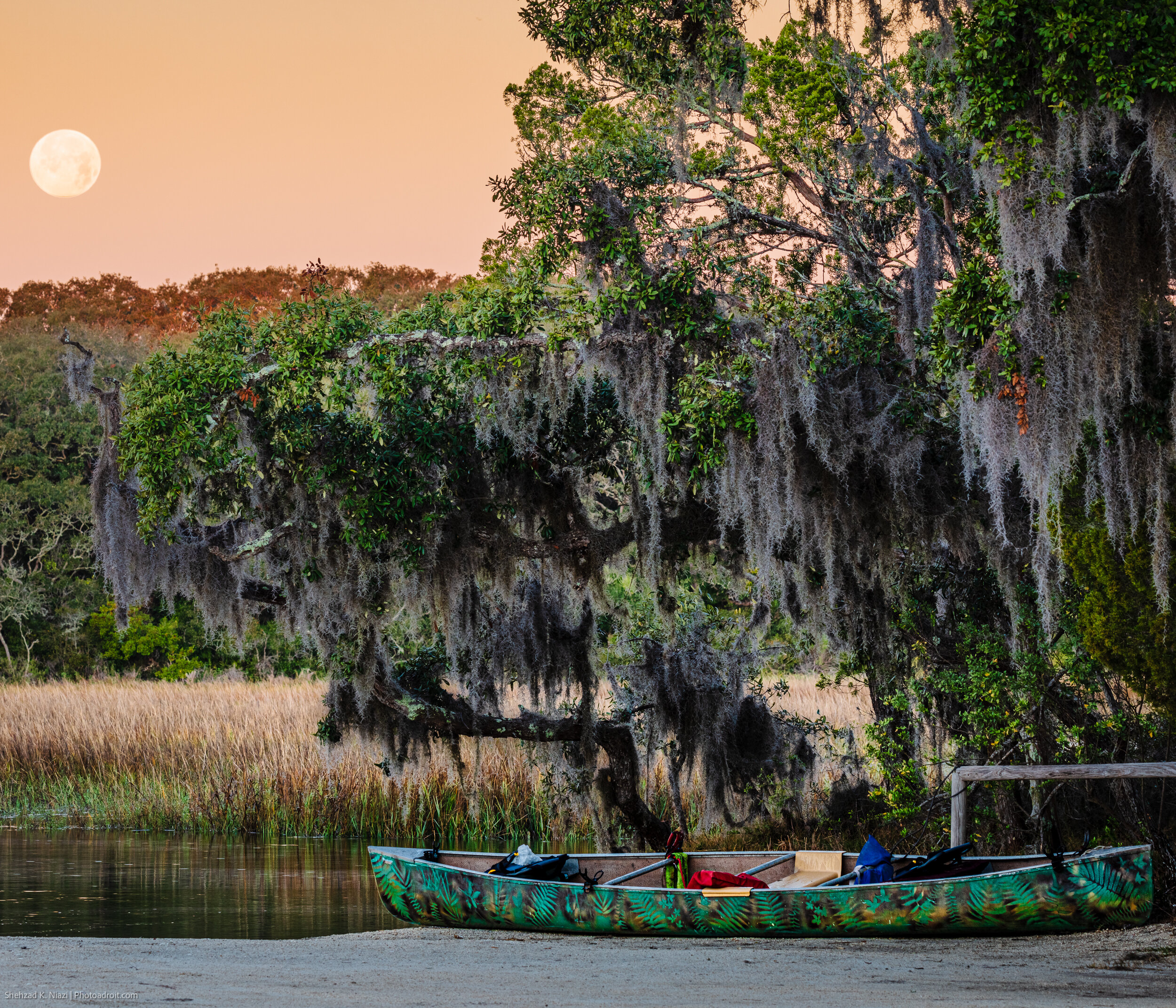 Little Talbot Island State Park; Moon is setting. 