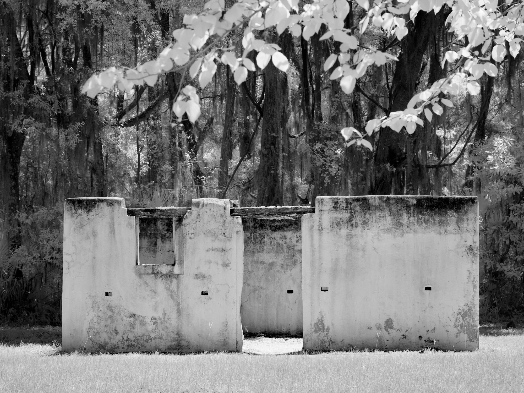 Infrared tabby slave cabin walls under dark tree canopy, Kingsley Plantation, Florida. Phase One Achromatic