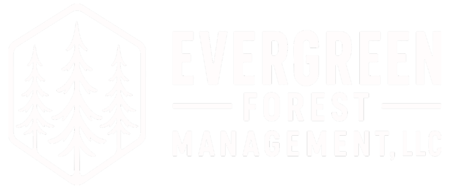 EVERGREEN FOREST MANAGEMENT, LLC