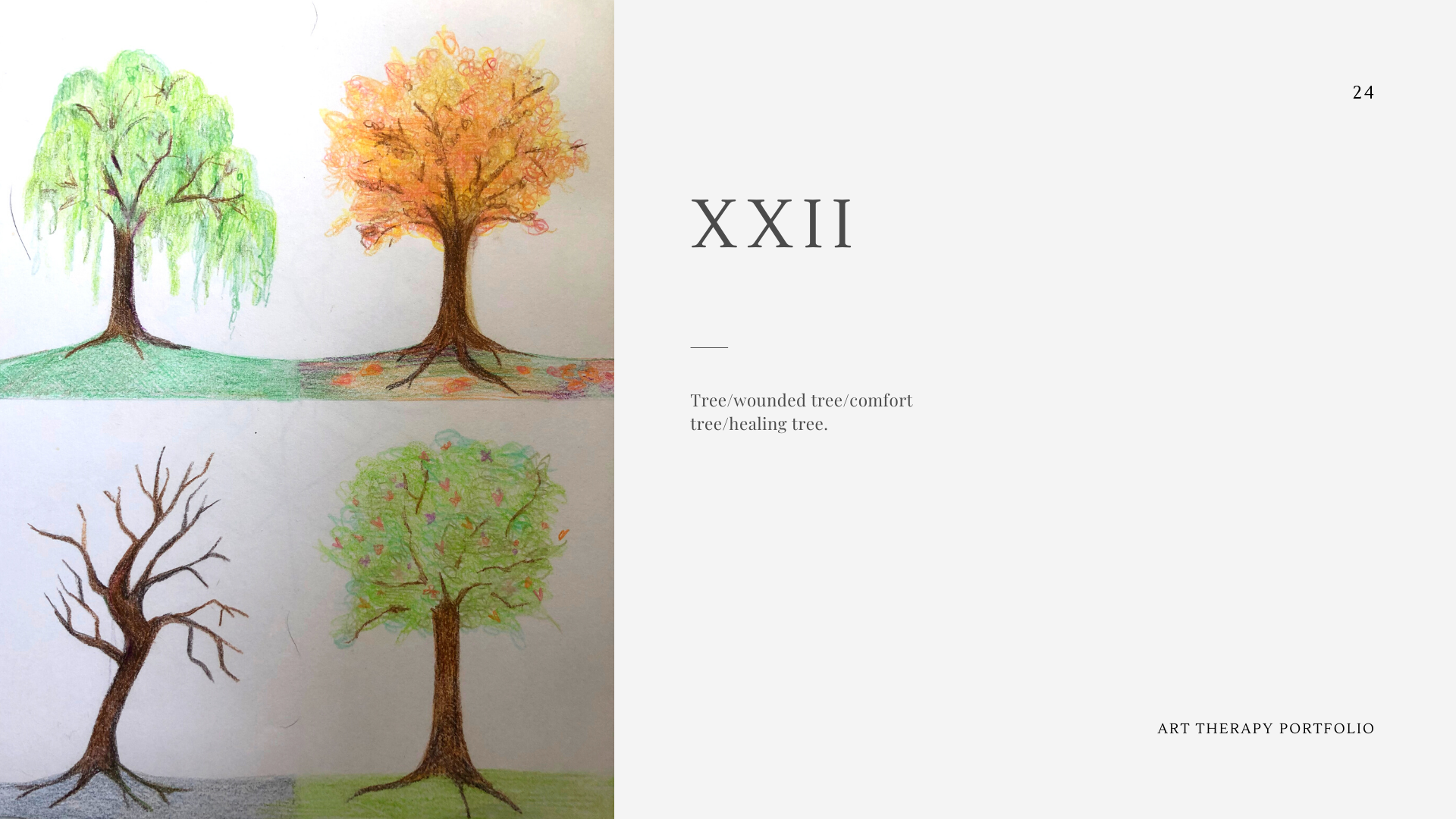 24.png
