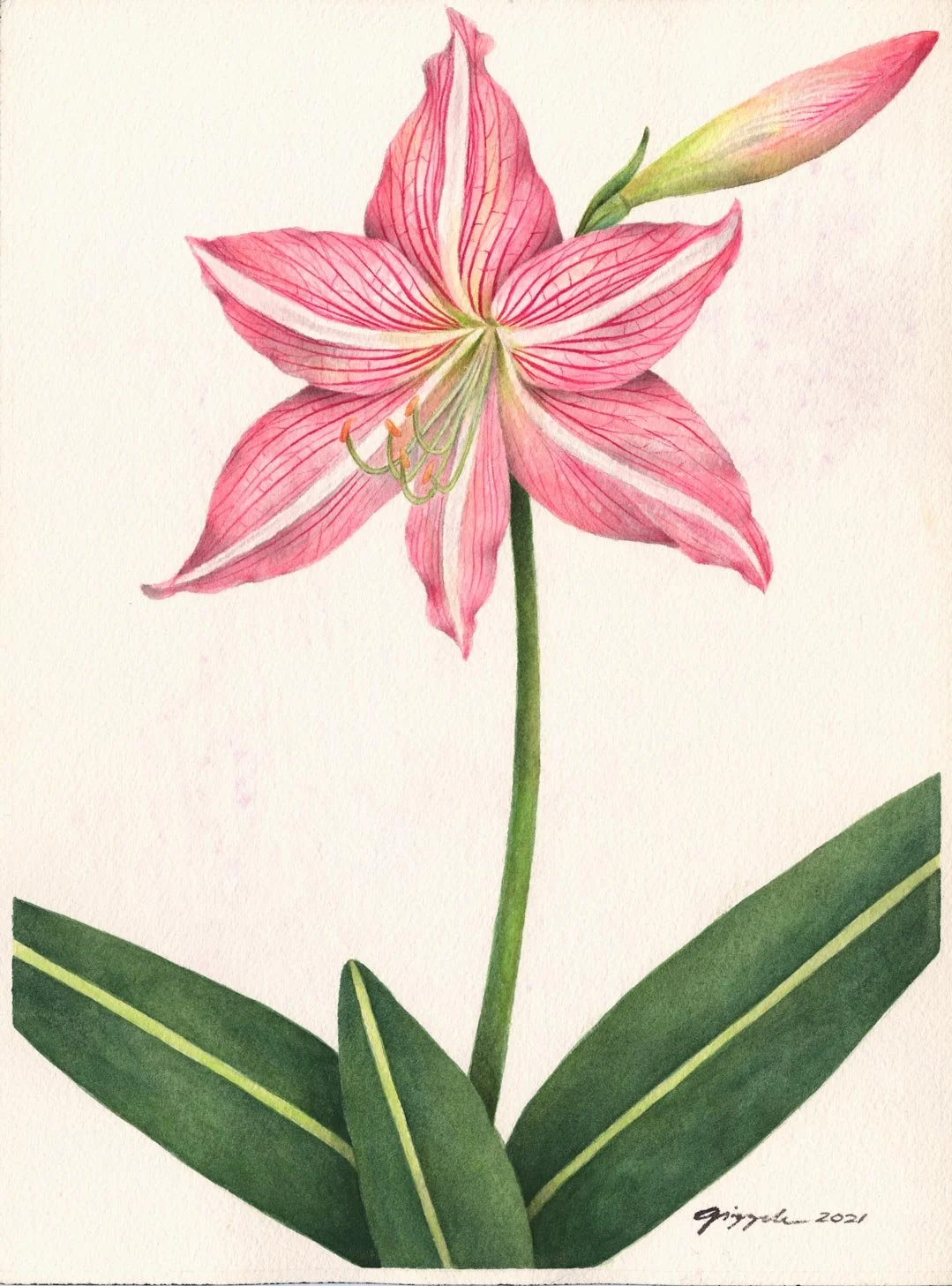 Liryo, 2021 Watercolor on paper, 9”x12”