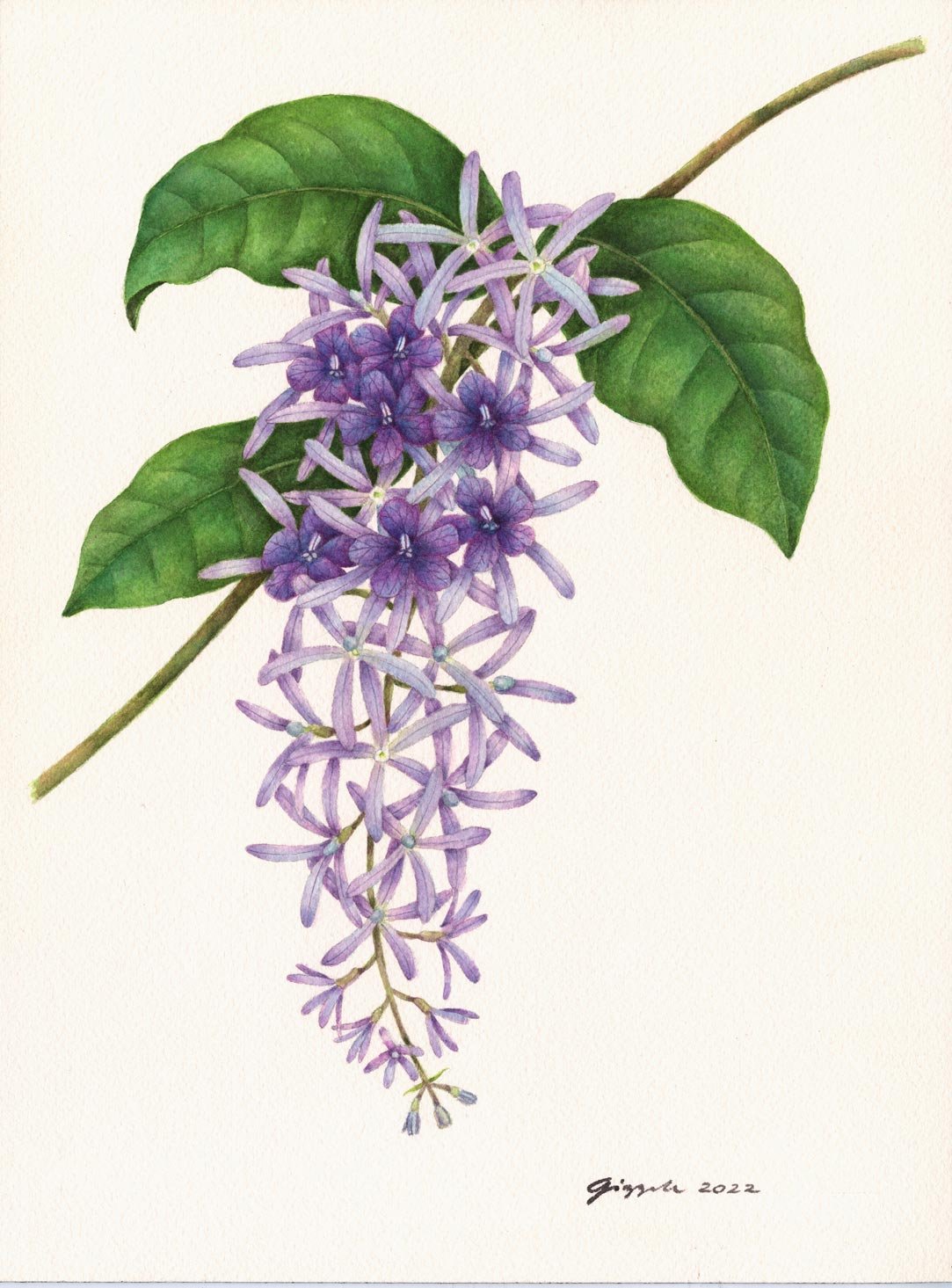 Purple Wreath, 2022 Watercolor on paper, 9”x12” (SOLD)