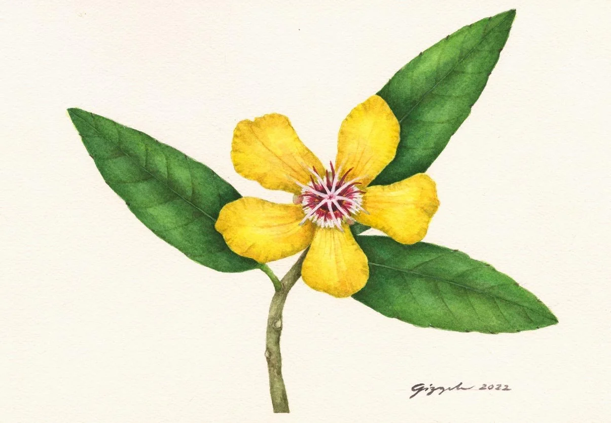 Malakatmon, 2022 Watercolor on paper, 7”x10”