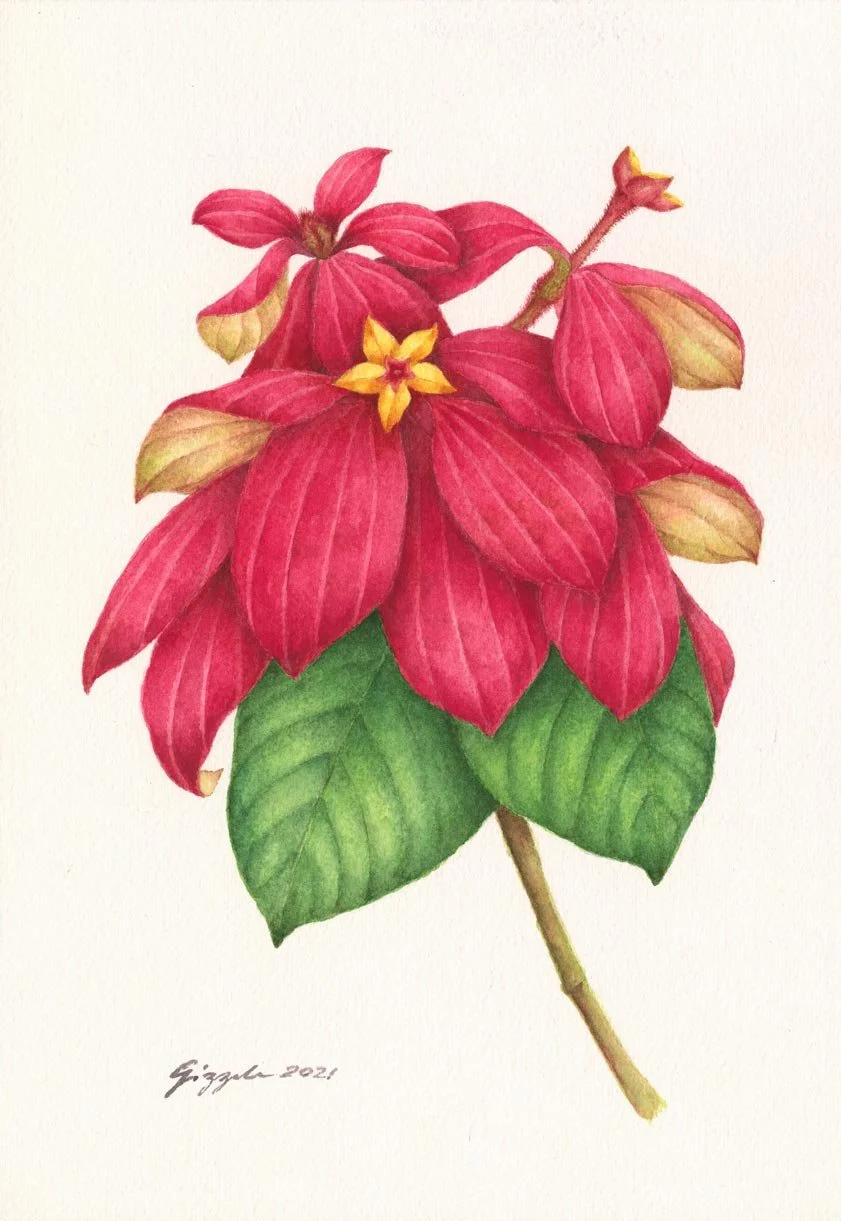 Doña Trining, 2021 Watercolor on paper, 7”x10”