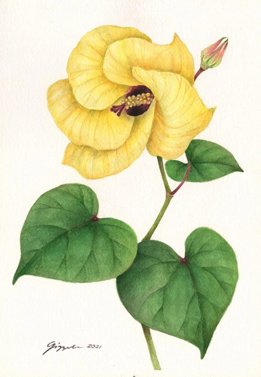 Malabago, 2021 Watercolor on paper, 7”x10”