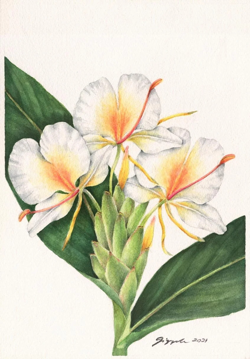 Kamia, 2021 Watercolor on paper, 7”x10”